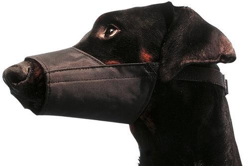 Veiligheids- & Controlehulpmiddelen