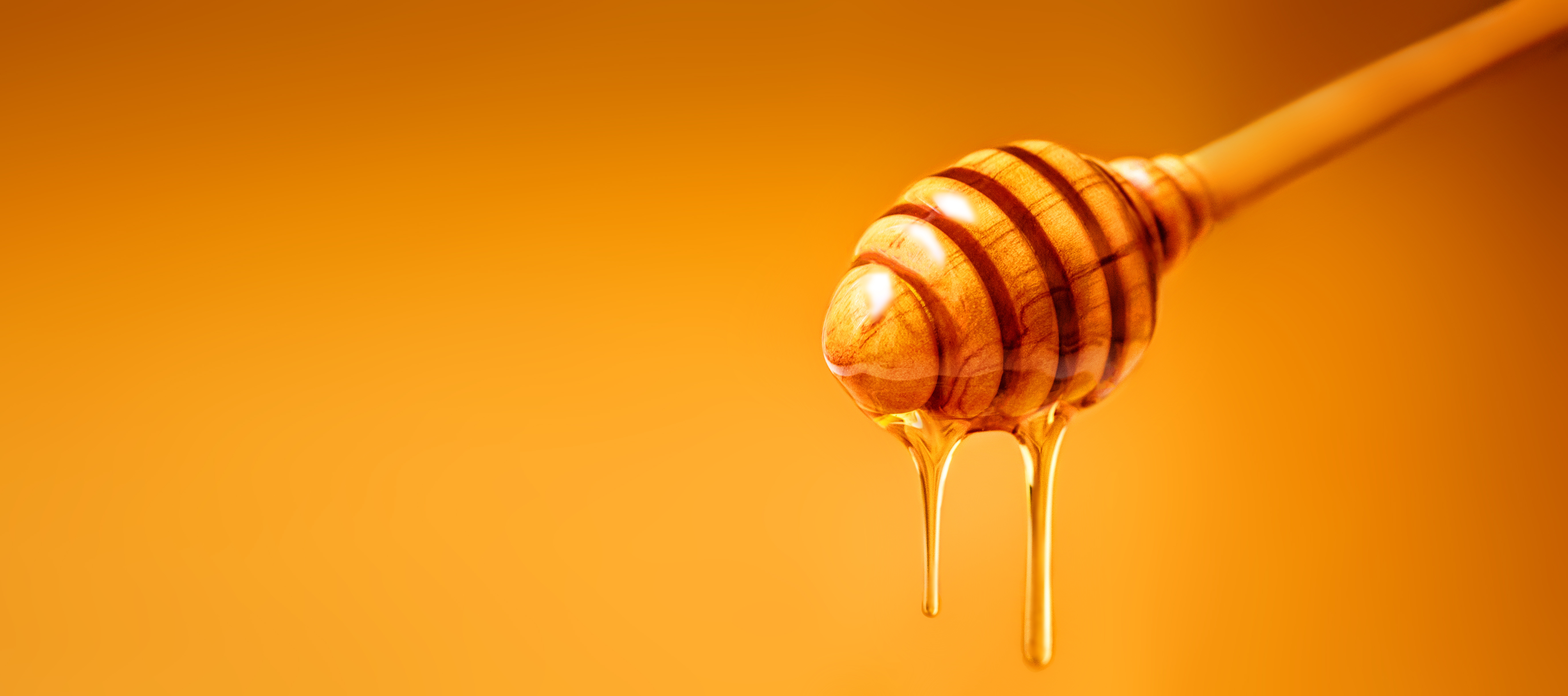 Mesitran honingverband in de diergeneeskunde: Effectief gebruik en voordelen