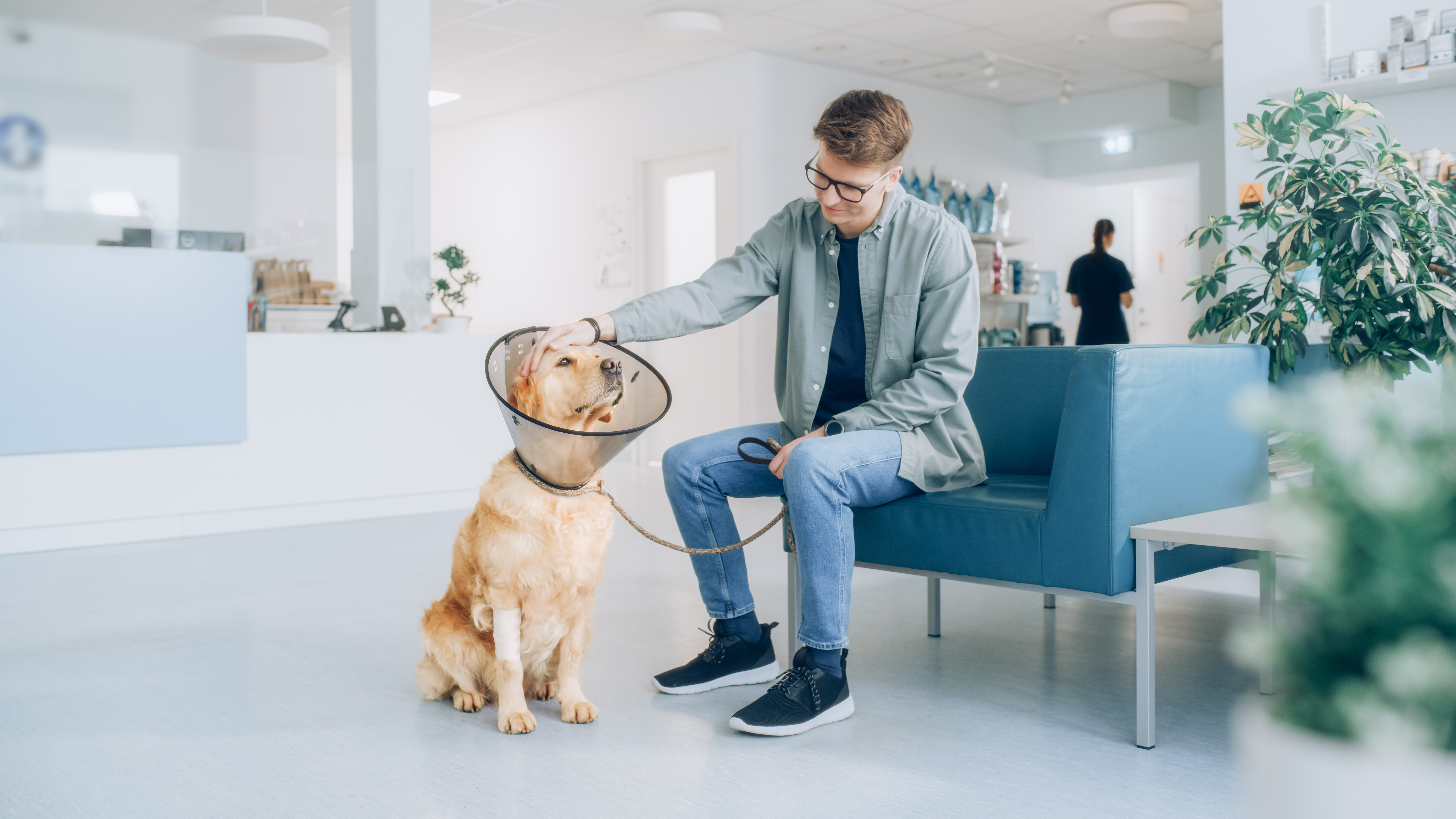 Zo richt je jouw dierenartspraktijk professioneel in