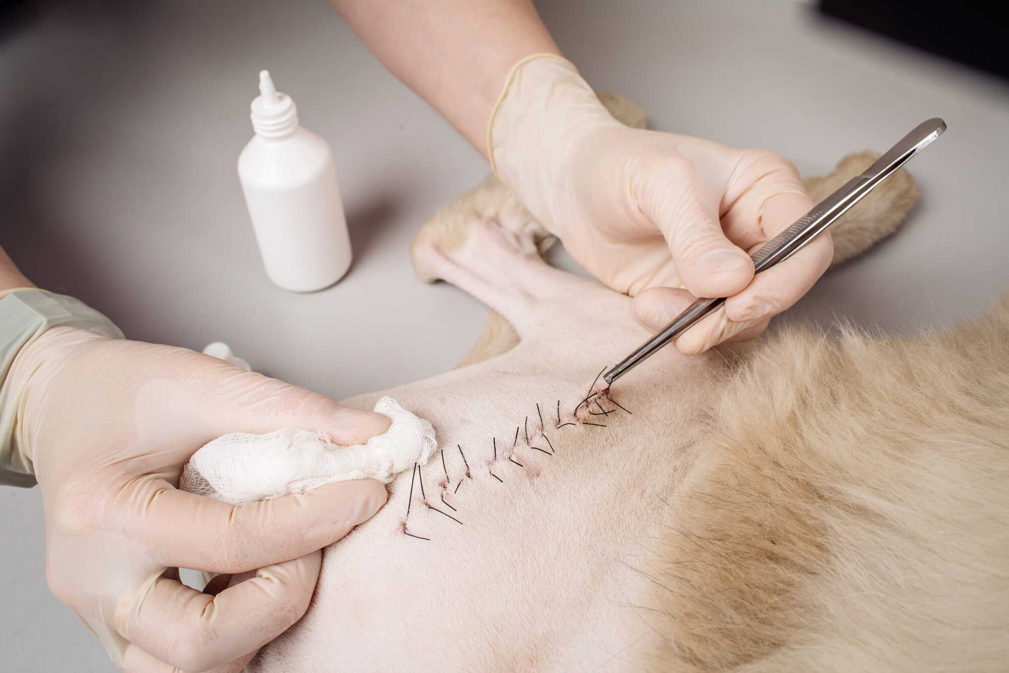 Soorten hechtdraden en naalden