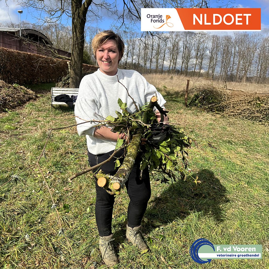 Terugblikken op NLdoet 2025